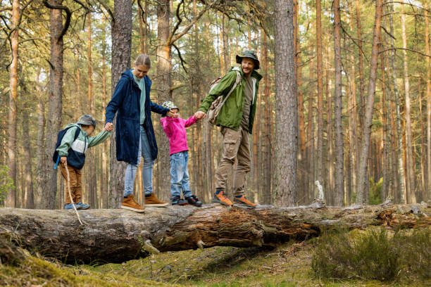 family with children walking on fallen tree in forest stock photo