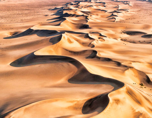 istock Namib Desert pictures 1396847585