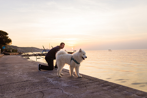 Dog love concept. Sunset time near sea.