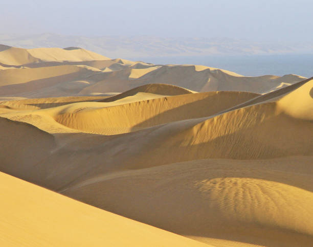 istock Namib Desert pictures 1396848119