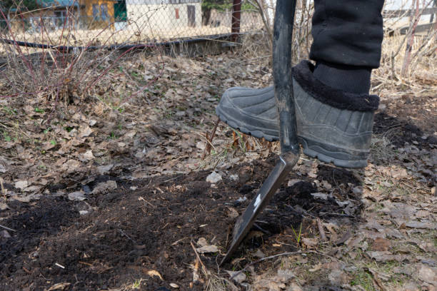 istock men digs with shovel 1396849185
