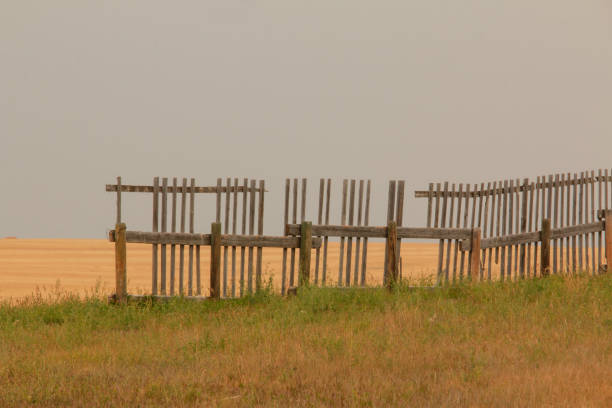 Wooden palisade made of logs. Log wooden fence. Sharp stakes in the ground.