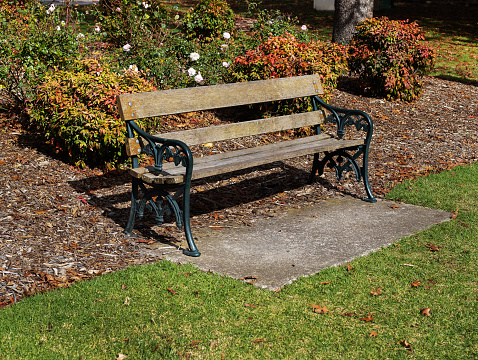 Old garden bench in the park against the background of autumn bushes and green grass