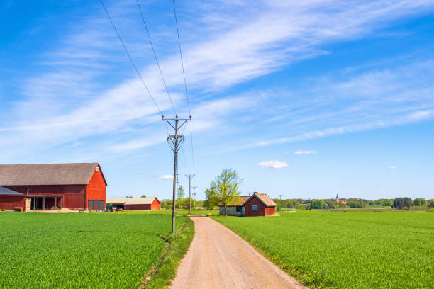 istock Dirt road to a farm by the fields 1396853190