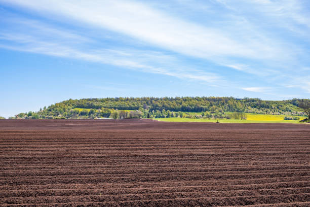 Plowed field at a table hill in a rural landscape at spring Plowed field at a table hill in a rural landscape at spring topsoil stock pictures, royalty-free photos & images