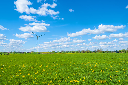 Wind turbine on a flowering summer meadow