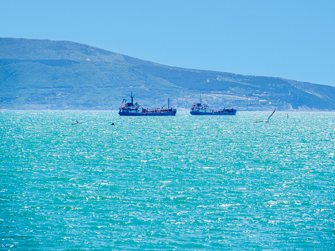 Empty cargo ships are waiting in line for loading at the port of Tsemesskaya Bay, Novorossiysk.