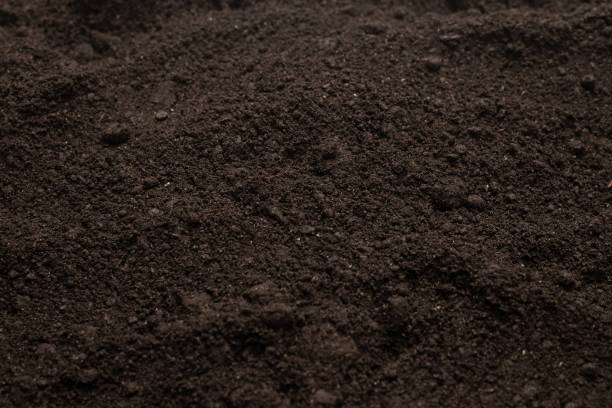 istock Black land for plant background. Top view. 1396862389