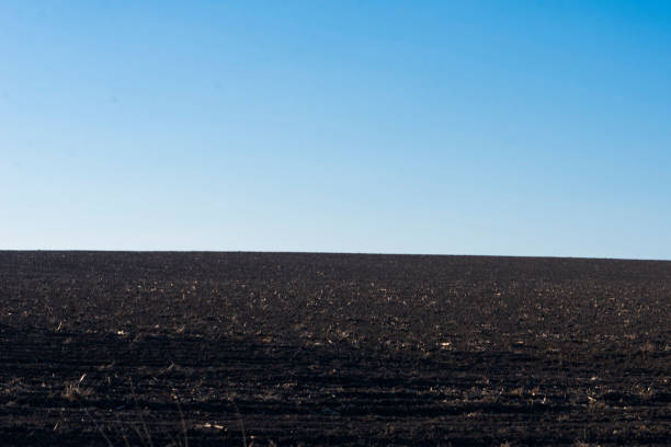 istock Ploughed field and blue sky as background. 1396862462