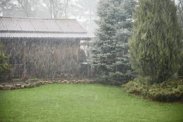 a rainy day is very suitable for relaxing. Taken in East Tyrol, Defereggental, focus on foreground