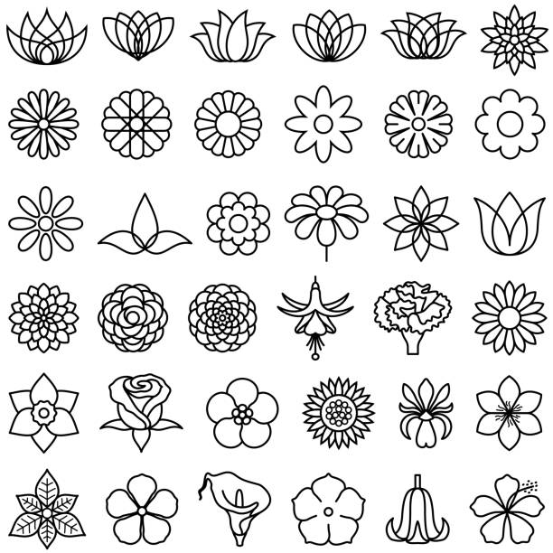 illustrations, cliparts, dessins animés et icônes de icônes de contour des fleurs - dahlia