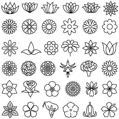 Common and generic flowers as single color isolated illustrations. Line thickness can be easily changed.