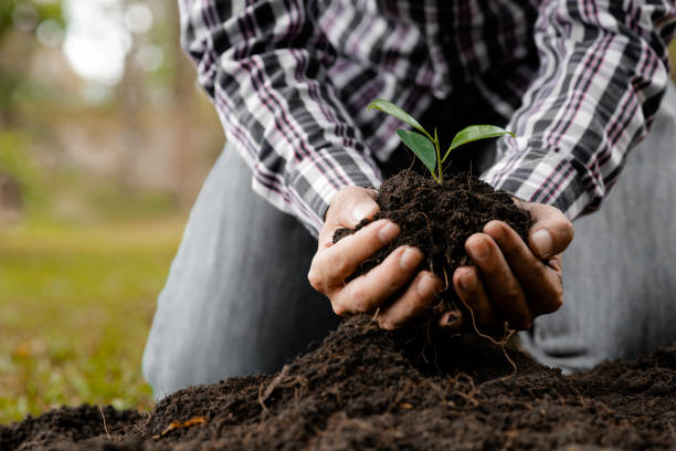 istock A man is planting tree saplings into the soil in a tropical forest, planting a replacement tree to reduce global warming. The concept of saving the world and reducing global warming. 1396868753