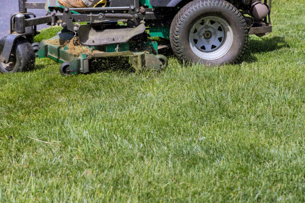 istock Machine for cutting lawns mover on green grass in garden 1396869638
