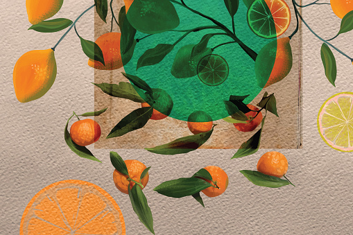 Seamless pattern illustration of various citrus fruit