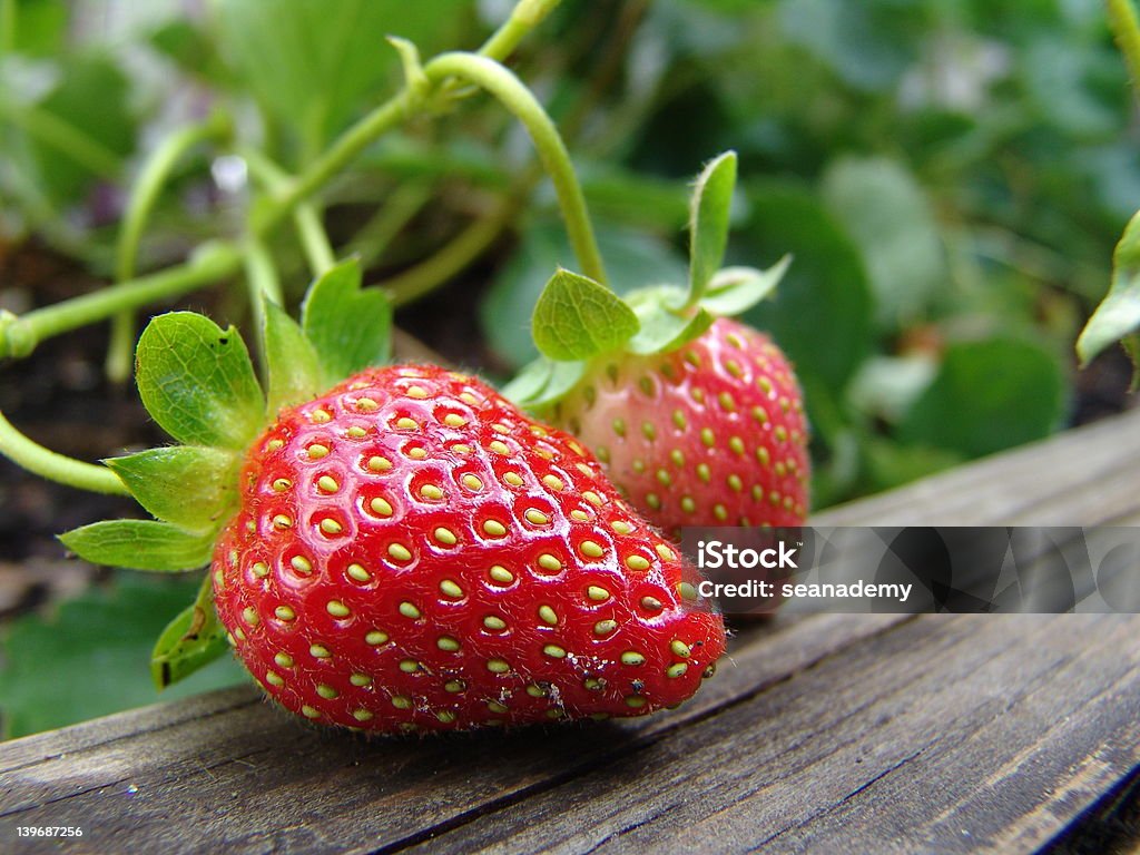 Fragole fresche - Foto stock royalty-free di Fragola