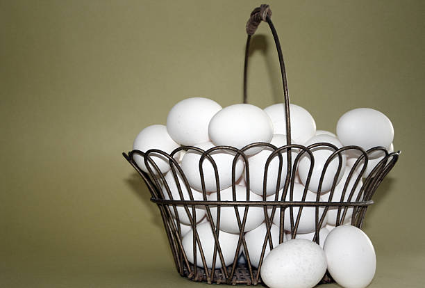 eggs in basket stock photo