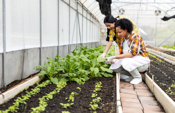 istock Happiness children study learning to prepare the soil before planting vegetables. 1396877472