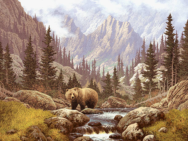 Lone brown bear on a stream under the Rocky Mountains