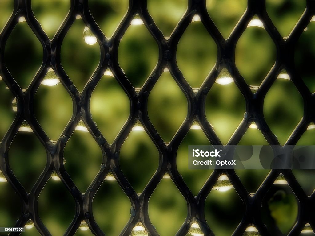 Grid With Waterdrops Closeup of a grid in rain Abstract Stock Photo