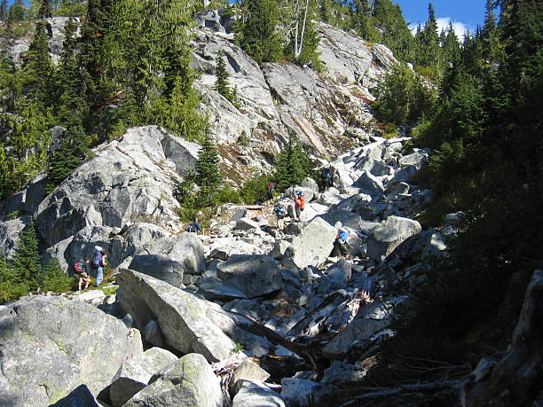 Slide Falling 320+ Sliding Slide Falling Water Slide Stock Photos, Pictures & Royalty ...