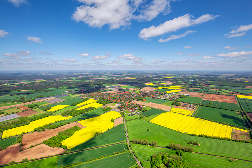 Aerial View of Cultivated Land with rapeseed field and River Elbe near by Celle , Lower Saxony , Germany