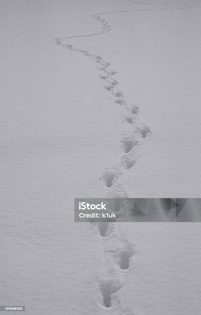 Sai dove stai andando? - Foto stock royalty-free di A forma di croce