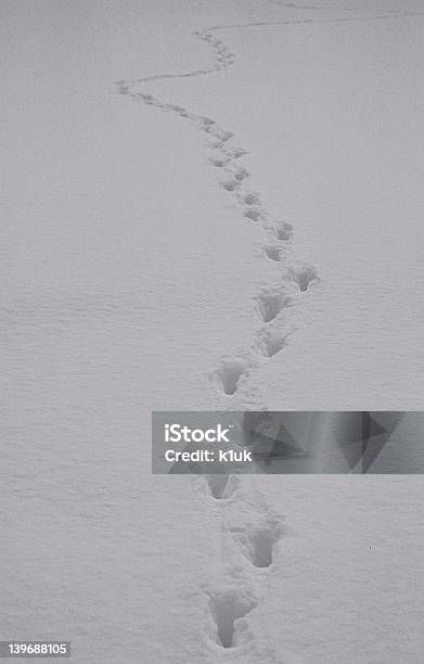 Wiedzieć Gdzie Jesteś Teraz - zdjęcia stockowe i więcej obrazów Bez ludzi - Bez ludzi, Chłodny, Fotografika