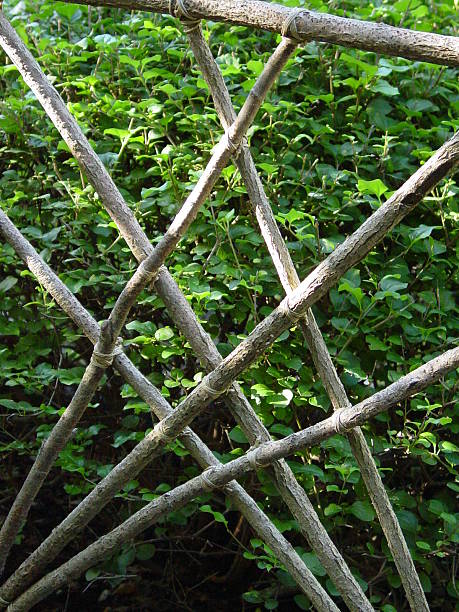 Stick Fence stock photo