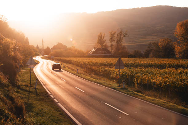 istock road through the vineyards at sunset 1396887050
