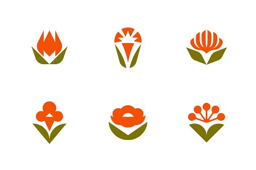Floral vector logo mark template or icon. Set of elegant design elements with ornamental tulip, peony, carnation and other flowers