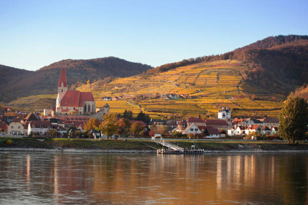 vista otoñal de un pequeño pueblo austriaco en la orilla de un río - danube valley danube river vineyard austria fotografías e imágenes de stock