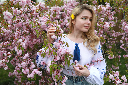 Portrait of young blonde woman in blooming sakura garden dressed in Ukrainian embroidered shirt with dandelion flower.