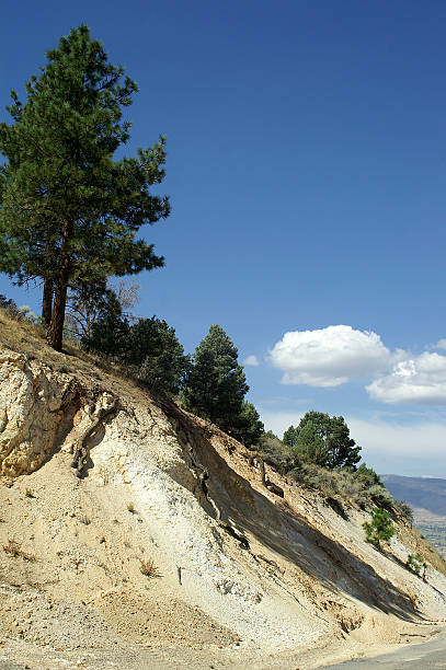 istock On the road in Reno 1 139689124