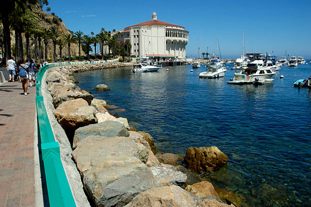 puente peatonal conduce a la isla catalina casino - avalon california fotografías e imágenes de stock