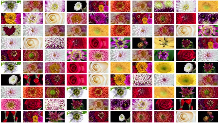 Flower grid background