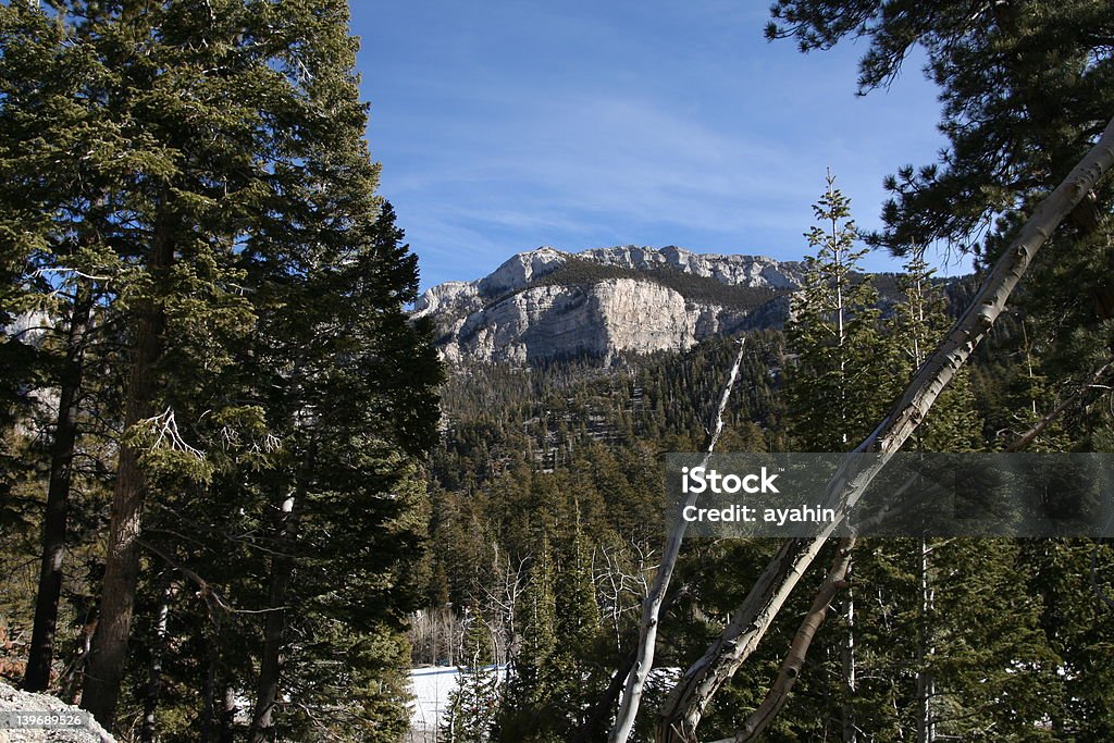 Nevada mountain View on a montain at Nevada ski resort Blue Stock Photo