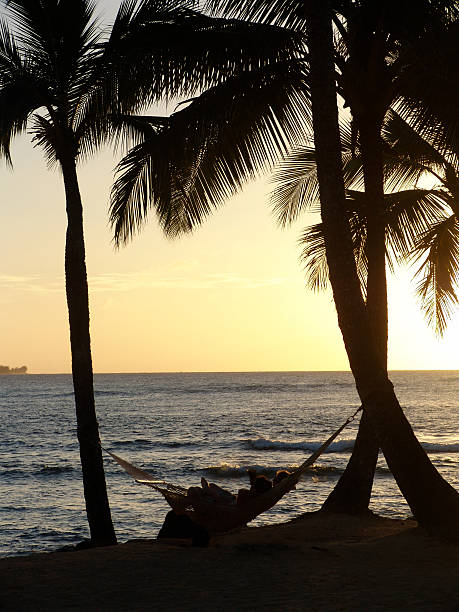istock Couple in Hammock in tropics 139689552