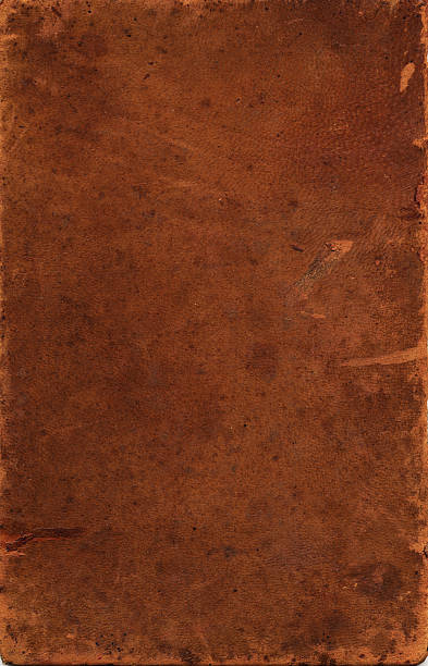 istock Sheet of vintage leather against black background 139689573