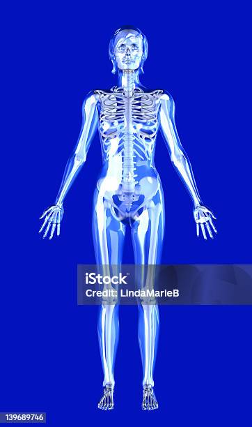 Clear Blue Woman With Skeleton Inside Includes Clipping Path Stock Photo - Download Image Now