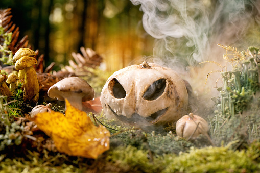 Halloween fairy tale ambiance magical autumn misty forest background. Ceramic Jack-o-lantern on autumn leaves, moss and wild mushrooms in fog around.