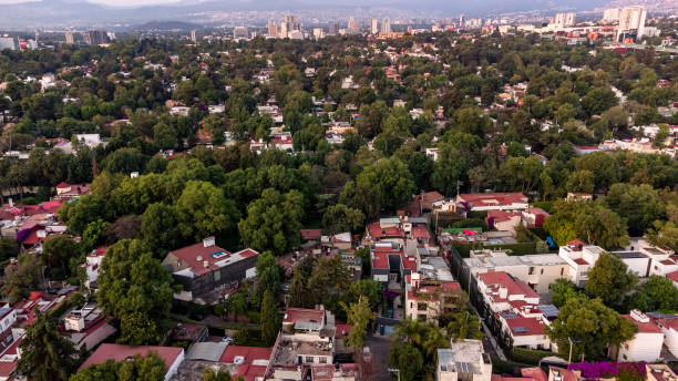 istock Mexico City at dawn 1396899454