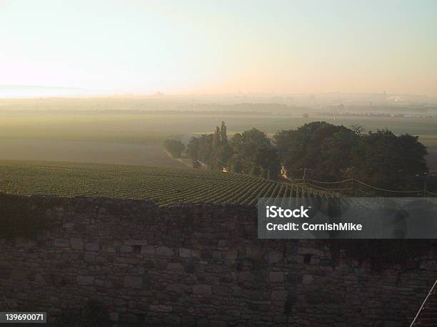 Tramonto Sopra Un Vigneto Di Champagne - Fotografie stock e altre immagini di Albero - Albero, Ambientazione esterna, Aurora