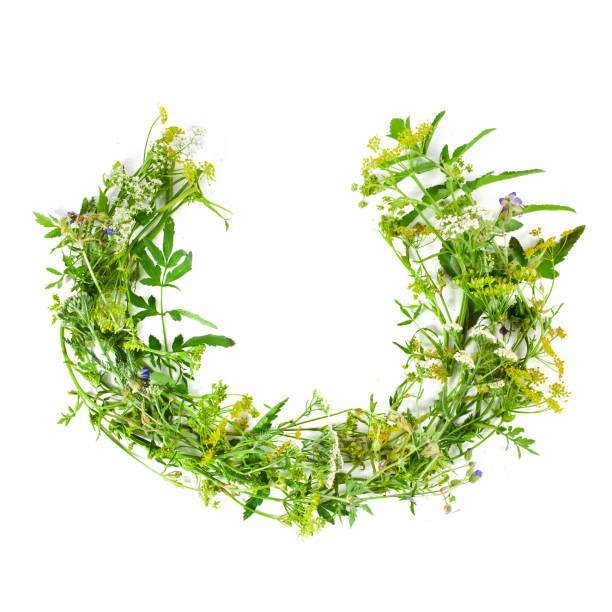 istock Beautiful wreath with colorful flowers. 1396901816