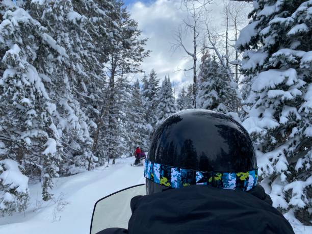 istock Snowmobiling in between trees in Vail, Colorado 1396903010