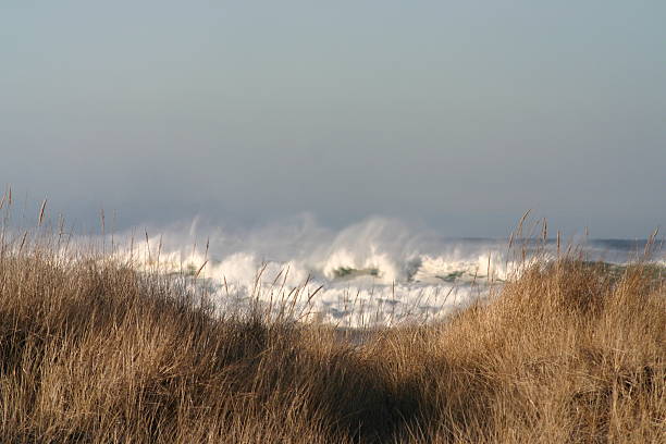 beach view stock photo