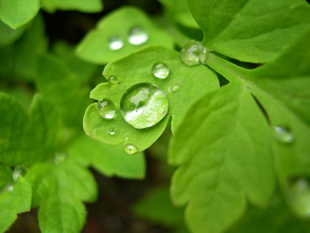 waterdrop stock photo