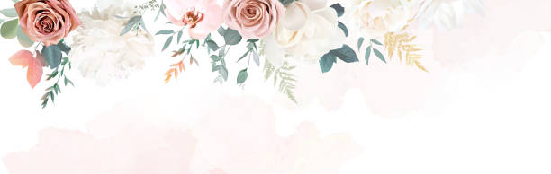 illustrazioni stock, clip art, cartoni animati e icone di tendenza di argento salvia e rossore fiori rosa vector design telaio - magnolia flower beige white