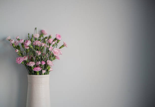istock Delicate light pink carnation flowers on a light gray background 1396904490