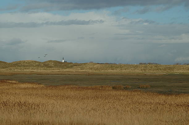 istock Countryside on Texel Island 139690558
